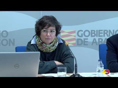 Presentación de la actualización de la estrategia de cuidados paliativos de Aragón