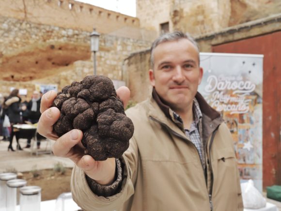 Campo de Daroca reivindica la unidad del sector de la trufa en las tres provincias aragonesas