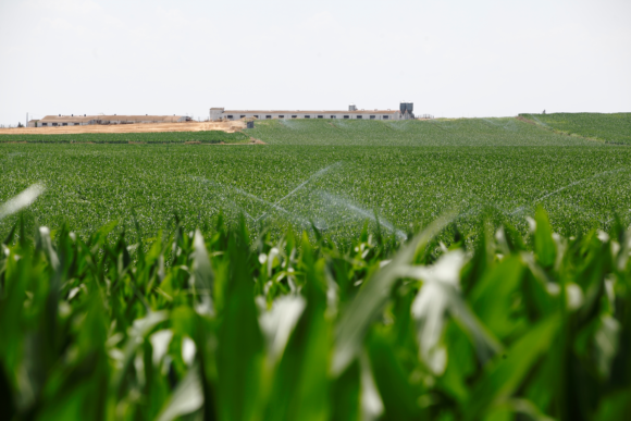 Los regantes logran una reducción del 35% del coste de la electricidad al negociar conjuntamente