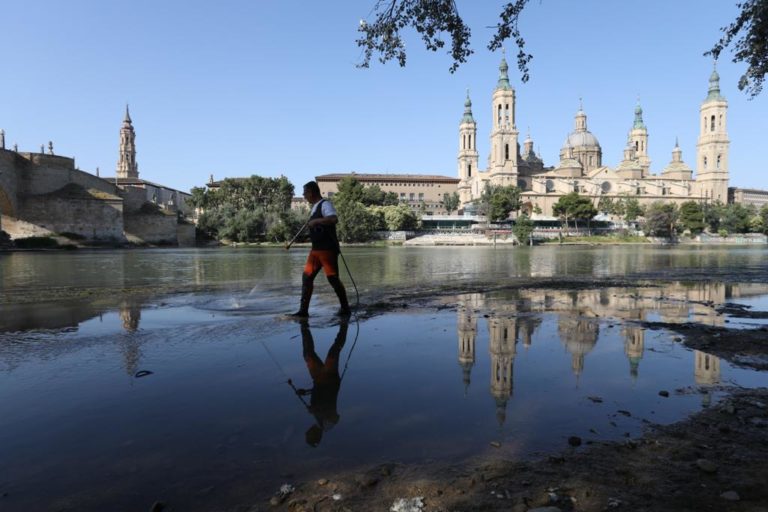 Comienza el tratamiento contra la mosca negra en las riberas del Ebro y del Gállego
