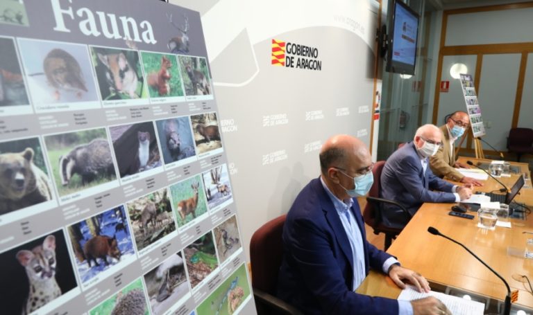 Aragón Natural, nuevo proyecto didáctico sobre la fauna y la flora aragonesa