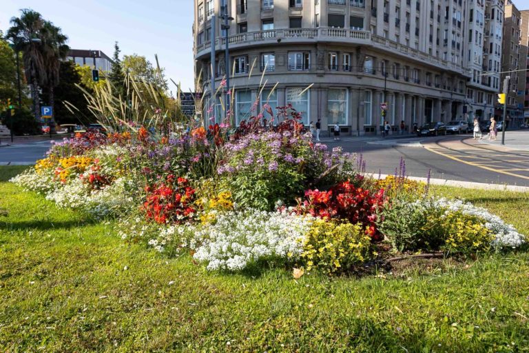 Más de 12.000 nuevas plantas con flor embellecen ya Zaragoza en distintos puntos de toda la ciudad