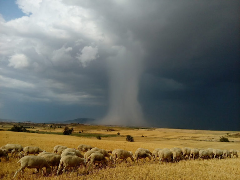 Las lluvias llegan este sábado a Aragón