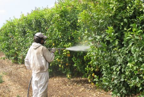 Finalizan un centenar de inspecciones de trabajo en las campañas agrícolas en Aragón con más de 230.000 euros en sanciones