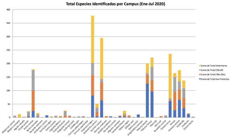 Los campus de la Universidad de Zaragoza albergan más de 40 especies diferentes de aves