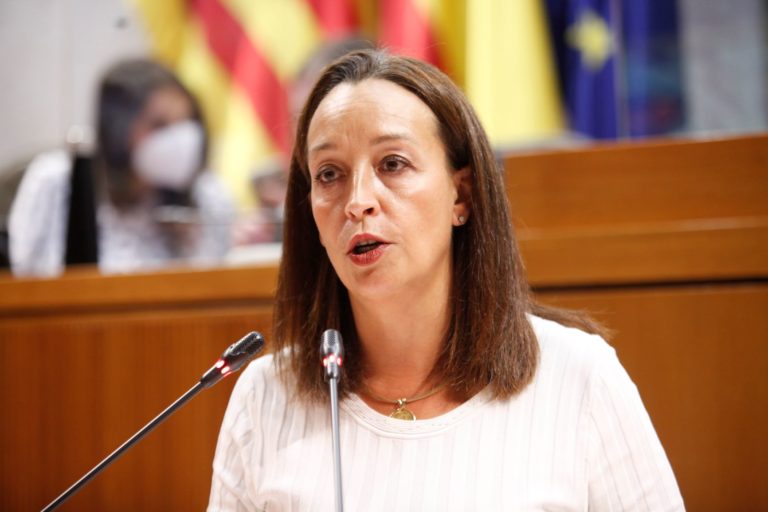 Susín pide unos presupuestos “para las familias y el tejido productivo aragonés”