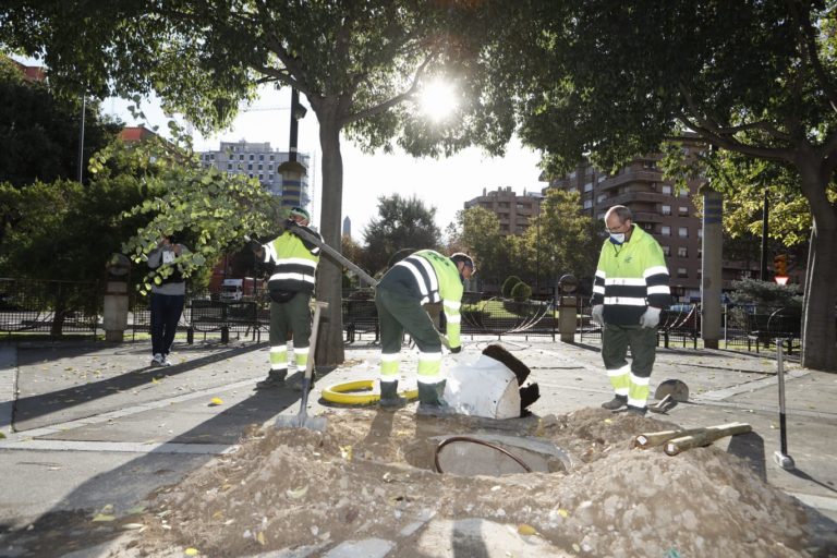 El Ayuntamiento de Zaragoza plantará 1300 árboles en lo que queda de año