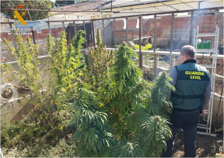 La Guardia Civil se incauta de 190 plantas de marihuana en diferentes localidades de la provincia