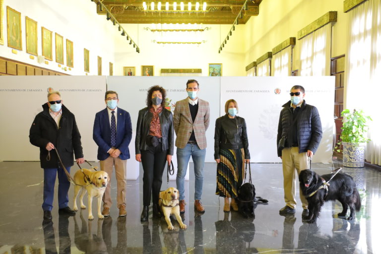 El Ayuntamiento financiará el registro de ADN de todos los perros guía de la ciudad