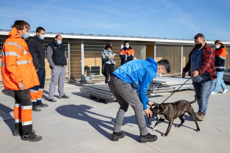 Los trabajadores del CMPA reciben pautas para adiestrar a los perros y favorecer su adopción