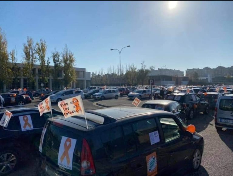 Manifestaciones contra la ley educativa de Celaá