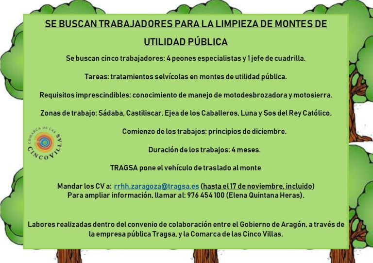 La Comarca de las Cinco Villas busca personal para la limpieza de montes de utilidad pública