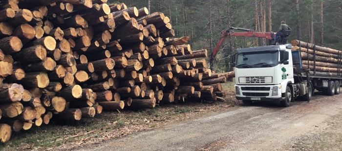 Aragón encabeza la superficie forestal gestionadas de manera sostenible