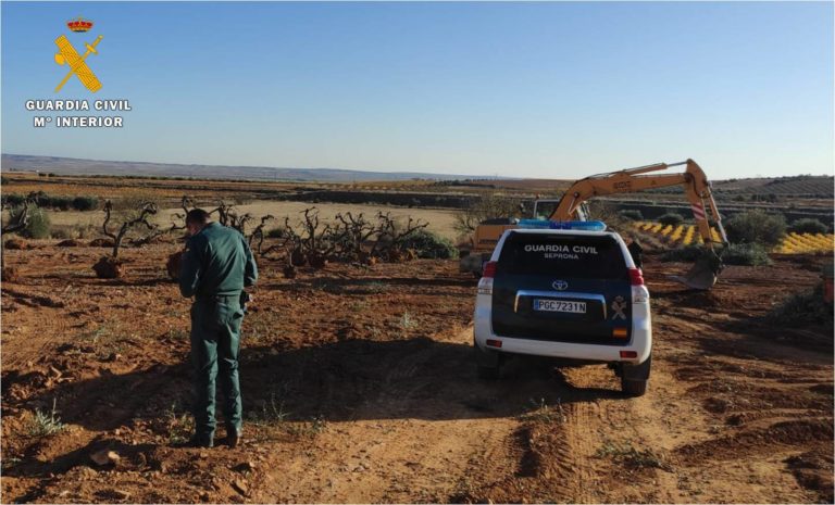 El SEPRONA de la Guardia Civil inmoviliza 116 olivos extraídos sin permiso para su comercialización