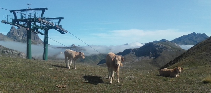 El CITA publica un artículo científico sobre cuáles son las mejores prácticas agrarias para conservar las montañas europeas