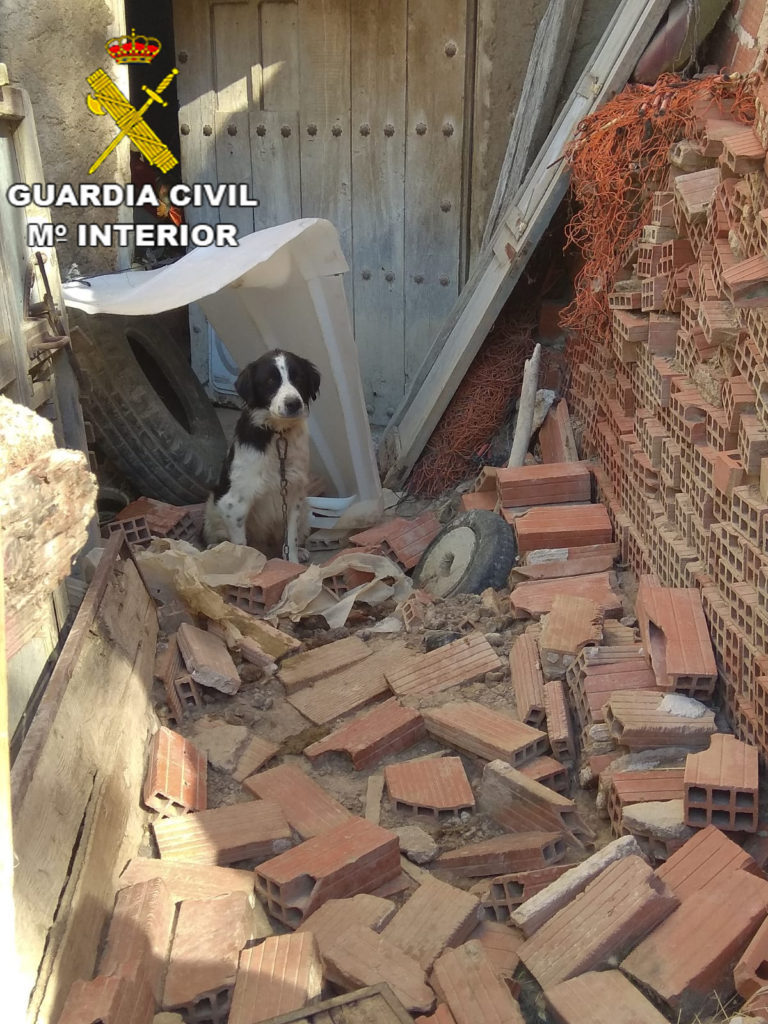 El SEPRONA de la Guardia Civil detecta numerosas infracciones en una protectora de animales de Zaragoza