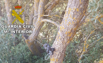 La Guardia Civil de Teruel investiga al propietario de una finca como presunto autor de un delito de lesiones