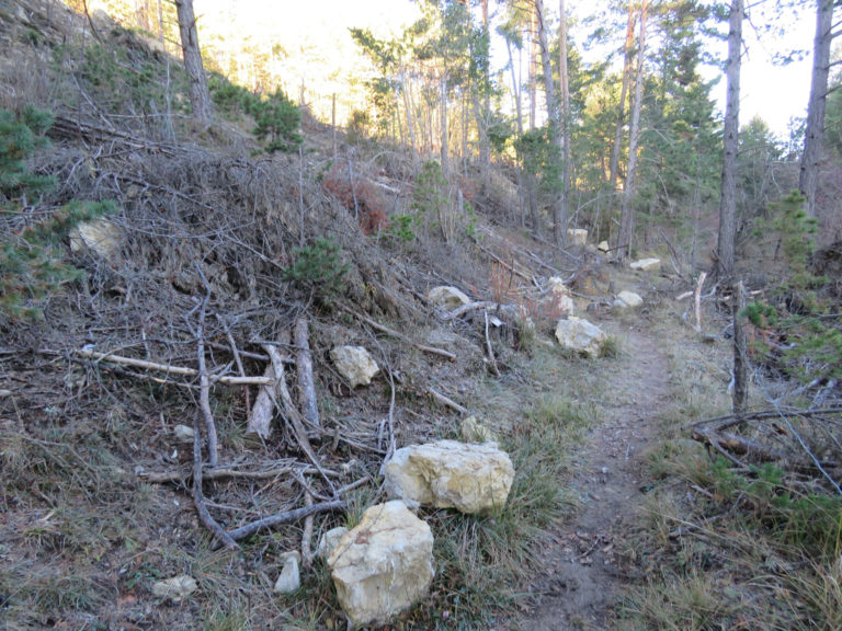 Gúdar-Javalambre crea una brigada forestal para la limpieza y mantenimiento de senderos