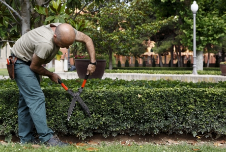 El INAEM destina 17,5 millones de euros a la integración laboral de las personas con discapacidad