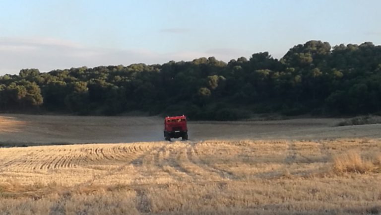 Concluye la Campaña de Limpieza de los montes de utilidad pública y pistas forestales en las Cinco Villas