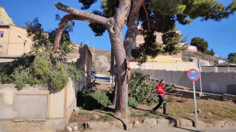 Los servicios municipales continúan trabajando para solventar los daños ocasionados por la nevada