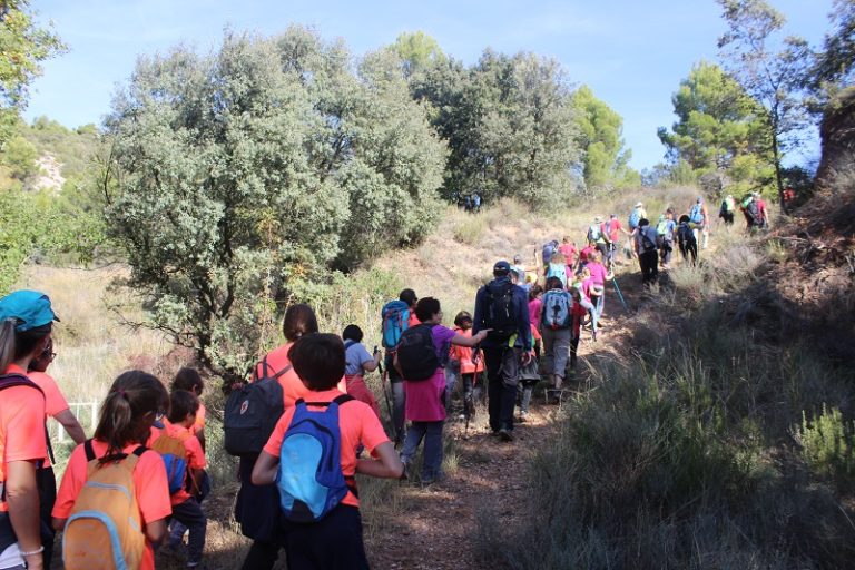 La FAM se convierte en la cuarta federación deportiva aragonesa con más miembros con alrededor de 14.000