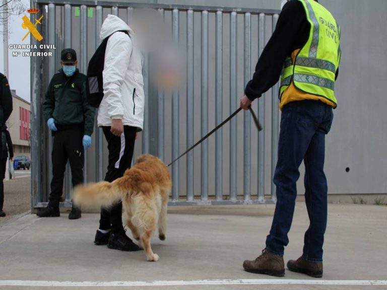 La Guardia Civil detiene a un joven en las inmediaciones de un instituto de Casetas por un presunto delito de tráfico de drogas