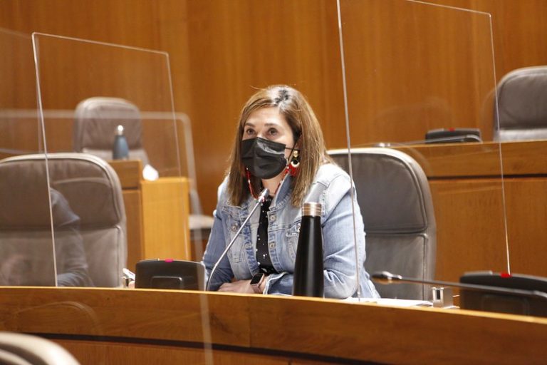Ciudadanos pide desarrollar un Plan de Cuidados Paliativos de Aragón en un plazo de 6 meses