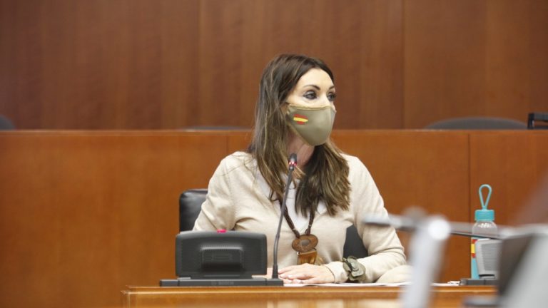 VOX plantea la modificación del tipo de IVA de los servicios de peluquería y estética