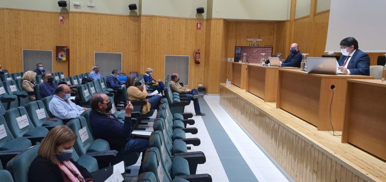 Luz verde al consejo de la mujer en las Cinco Villas