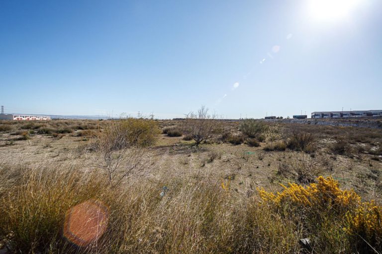 El Ayuntamiento licitará 102.000 m2 de suelo industrial en Empresarium para que Becton Dickinson pueda instalar en Zaragoza su nueva planta con una inversión de 165 millones de euros