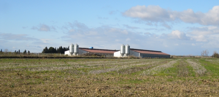El Gobierno de Aragón modifica las zonas vulnerables a la contaminación de las aguas por nitratos procedentes de fuentes agrarias