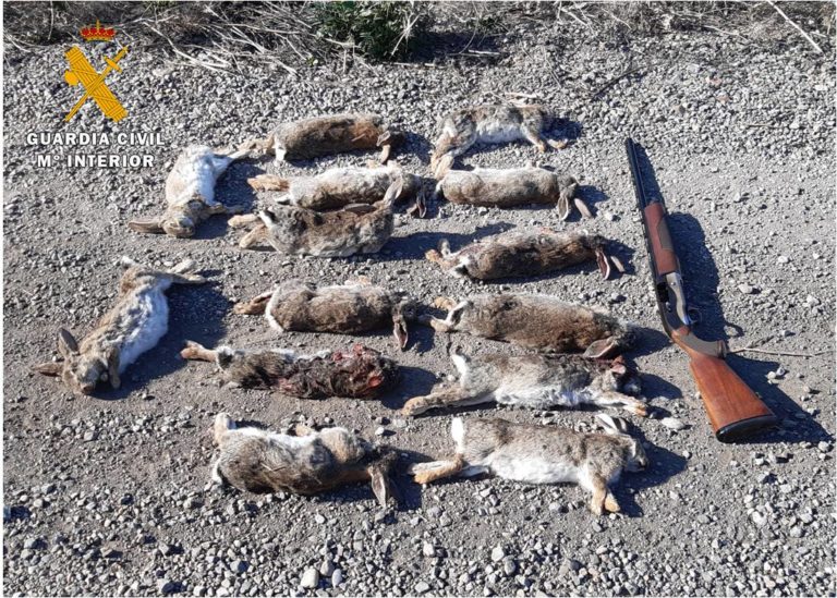 El SEPRONA de la Guardia Civil denuncia a un cazador por disparar vehículo en marcha y sin licencia