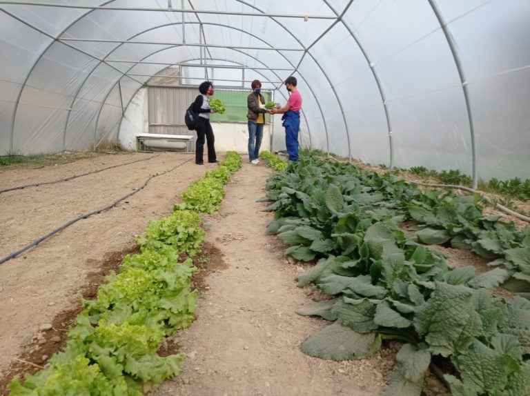 ‘La Casa de la Planta’, un proyecto para descubrir el futuro laboral