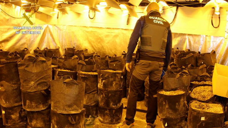 La Guardia Civil interviene más de 2600 plantas de marihuana en tres naves industriales próximas a Zaragoza