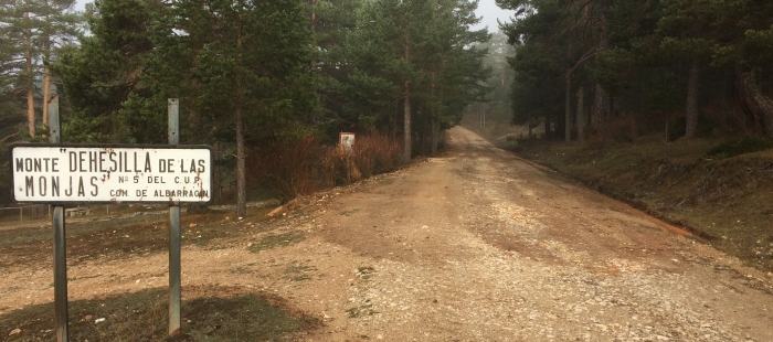 El Gobierno de Aragón invierte casi 48.000 euros en la mejora de las pistas forestales de tres montes de utilidad pública en la Sierra de Albarracín