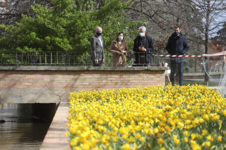 El Ayuntamiento inicia los trabajos para actualizar en profundidad el Parque Grande