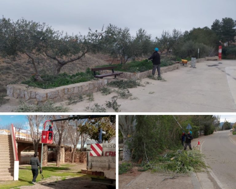 La “Brigada Verde” del Campo de Cariñena cumple su quinto mes de trabajo incesante en la Comarca