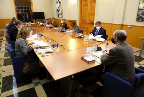 Un Consejo de Gobierno extraordinario da vía libre al convenio con las diputaciones y la FAMCP para ayudar a los sectores de hostelería y restauración