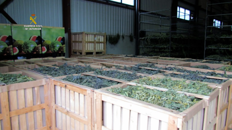 La Guardia Civil interviene más de cuatro toneladas de marihuana en Teruel
