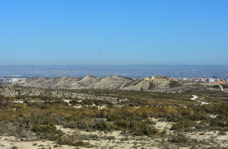 Grupos ecologistas y vecinales presentan recurso contra una central eólica en los Montes de Torrero de Zaragoza