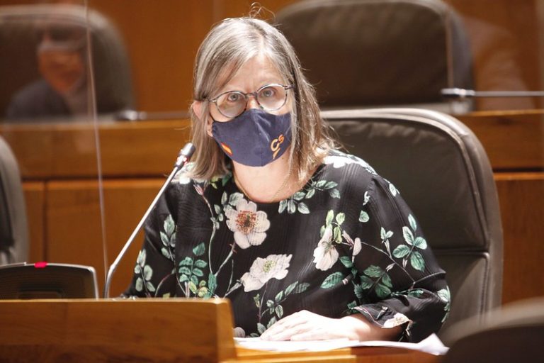 Cs solicita apoyo en asistencia sanitaria, enseñanza, formación, empleo y vivienda para las víctimas del terrorismo