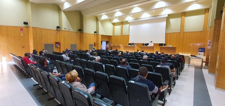 La Comarca de las Cinco Villas aprueba el reglamento del Consejo de la Mujer