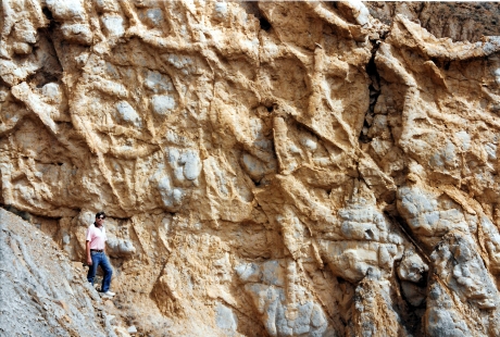 Aragón celebrará el Geolodía en el yacimiento de Bueña el próximo 9 de mayo