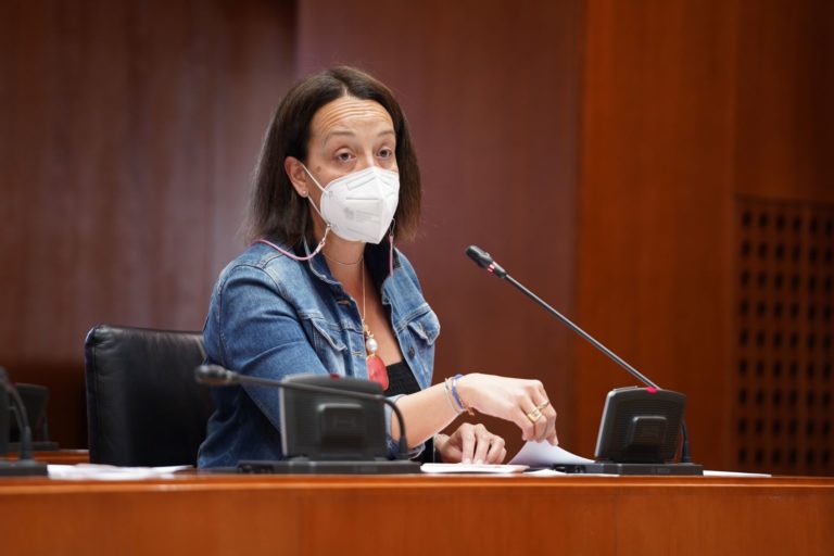 Susín defiende iguales beneficios para las comarcas despobladas de Zaragoza a las que recibirán las provincias de Teruel, Cuenca y Soria