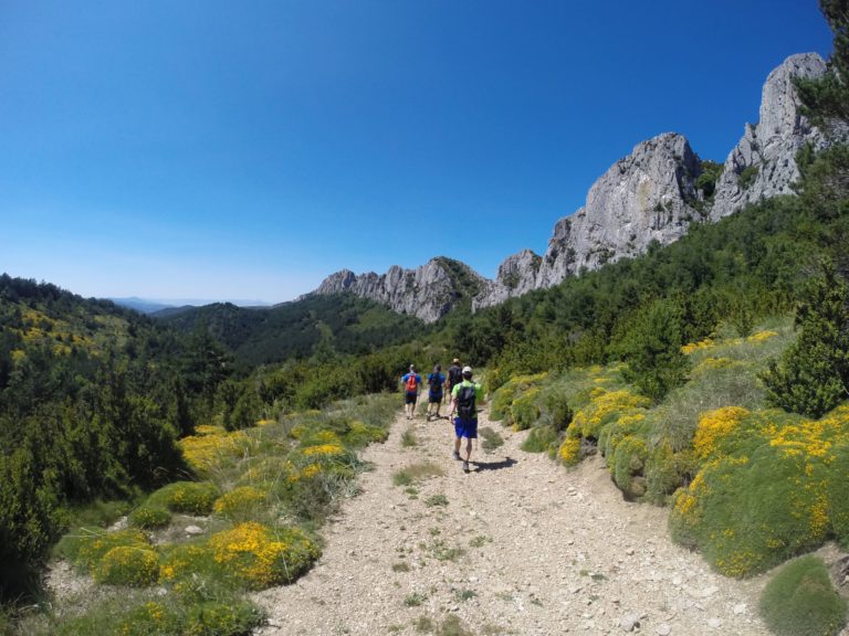 La comarca de Cinco Villas recibe el Plan de Sostenibilidad Turística 2021