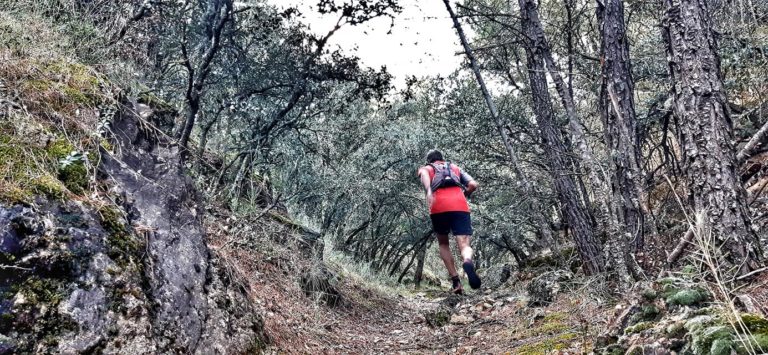 La Federación Aragonesa de Montañismo anima a descubrir Aragón corriendo con el desafío Trail Montaña Aragón 2021