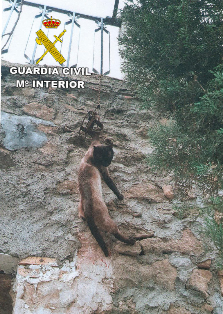 La Guardia Civil de Teruel investiga a una persona como presunta autora de un delito de maltrato animal en una localidad de la Comarca del Bajo Aragón