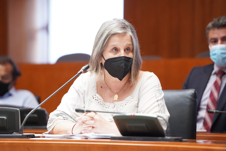Cs emplaza al Gobierno de Aragón a elaborar un protocolo específico de intervención con menores víctimas de violencia de género