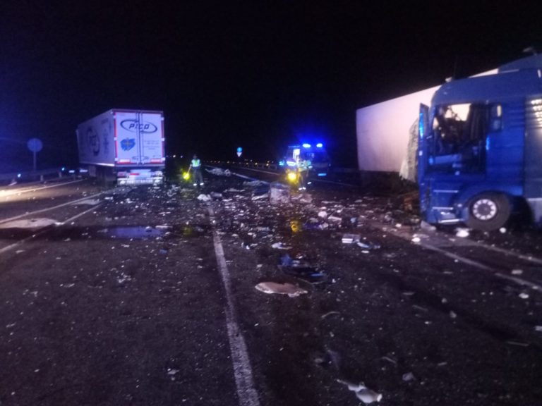 Fallece un camionero en accidente en N-II